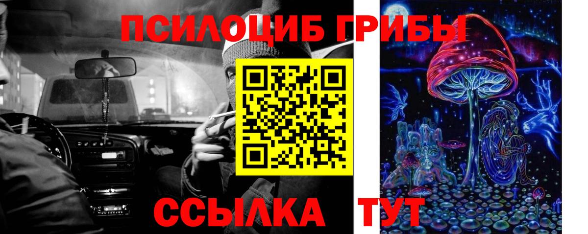 Артём  Псилоцибиновые грибы Cubensis  Галлюциногенные грибы GOLDEN TEACHER  Вход с VPN 