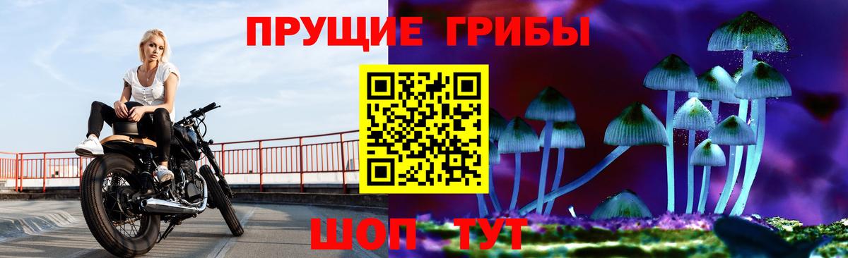 Галлюциногенные грибы мицелий Артём